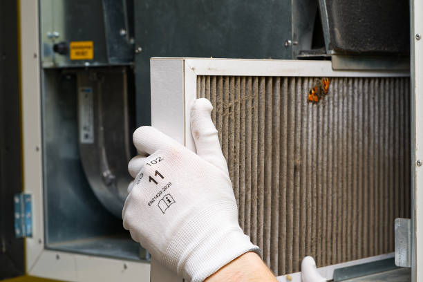 Best General Air Duct Cleaning  in Roan Mountain, TN